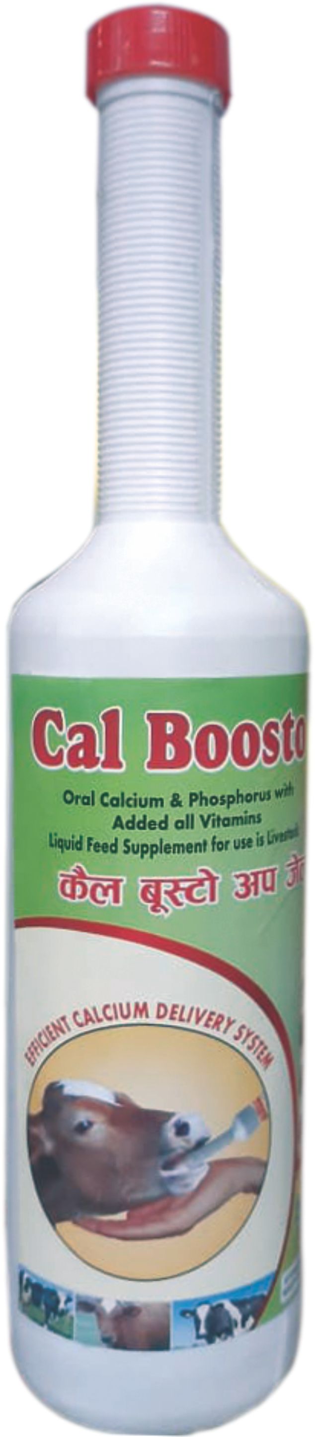 CAL BOOSTO UP GEL 300 gm