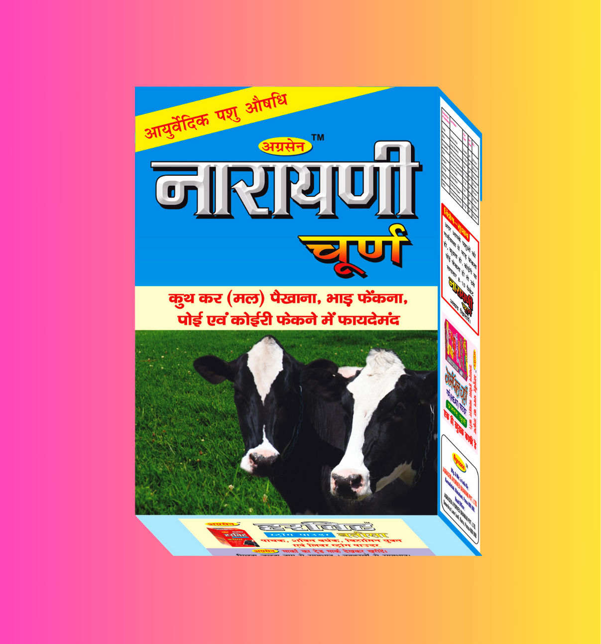 NARAYANI CHURN NARAYANI CHURN